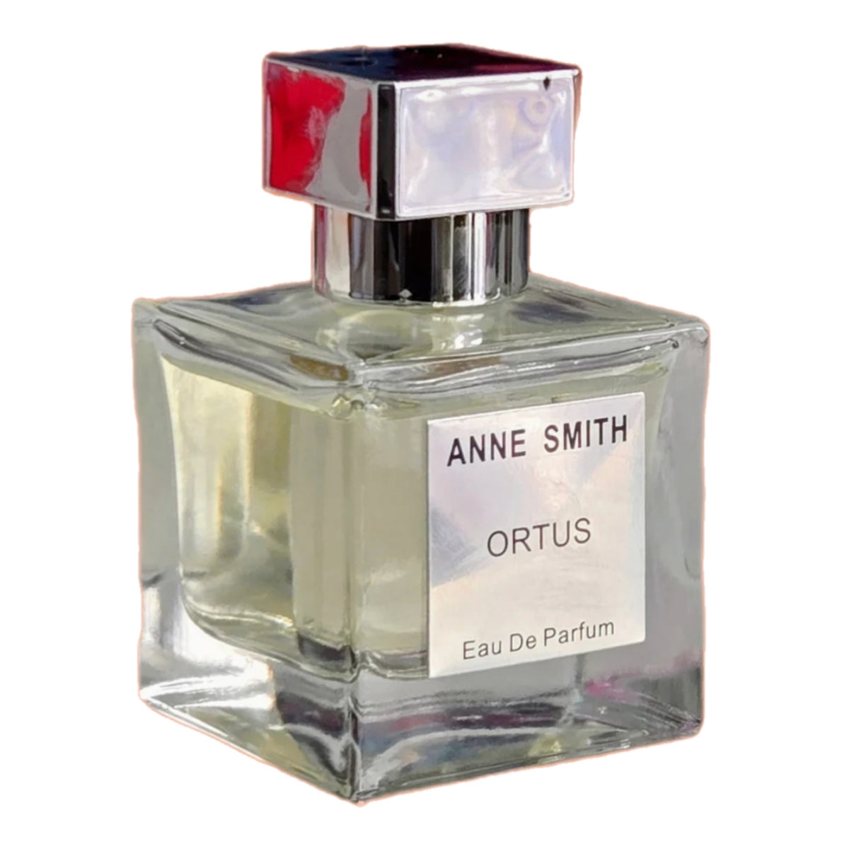 ORTUS EDP 50 ml